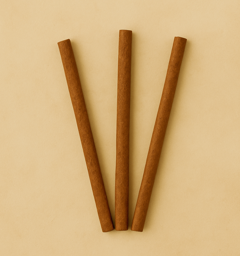 Dhoop Tütsü