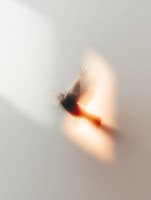 Sınır Koymayı Öğrenmek 